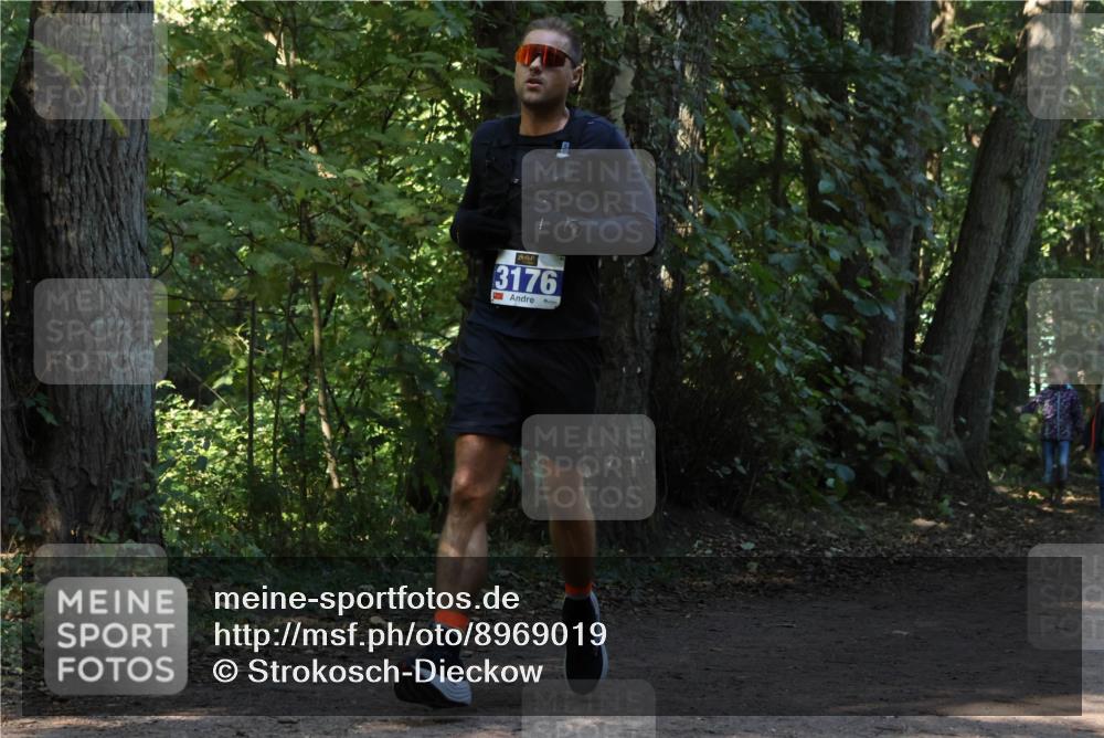 28.09.2025 - 33. Volkslauf durch das schöne Alstertal Strokosch-Dieckow http://msf.ph/oto/8969019 28.09.2025 11:20:21 Laufen 3176 meine-sportfotos.de
