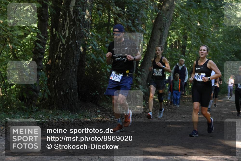 28.09.2025 - 33. Volkslauf durch das schöne Alstertal Strokosch-Dieckow http://msf.ph/oto/8969020 28.09.2025 11:20:25 Laufen 3335, 3295, 301, 31 meine-sportfotos.de