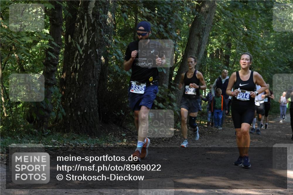 28.09.2025 - 33. Volkslauf durch das schöne Alstertal Strokosch-Dieckow http://msf.ph/oto/8969022 28.09.2025 11:20:25 Laufen 2023, 3335, 3295, 3014 meine-sportfotos.de