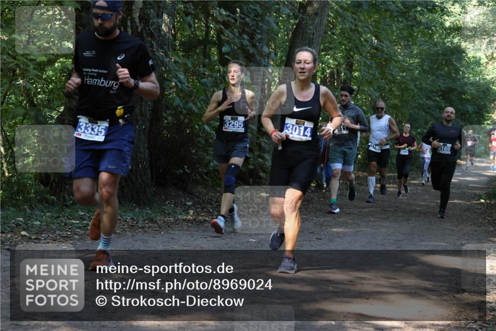 28.09.2025 - 33. Volkslauf durch das schöne Alstertal Strokosch-Dieckow http://msf.ph/oto/8969024 28.09.2025 11:20:26 Laufen 2023, 3335, 3295, 3014, 3190, 3019, 3169 meine-sportfotos.de