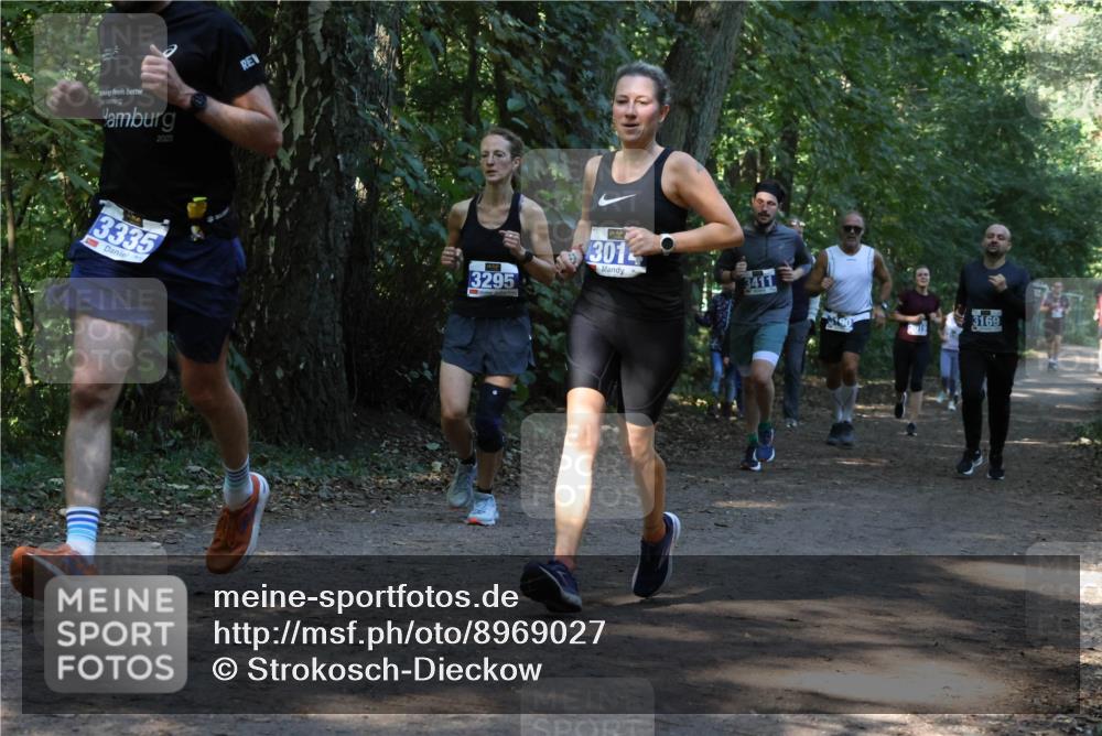 28.09.2025 - 33. Volkslauf durch das schöne Alstertal Strokosch-Dieckow http://msf.ph/oto/8969027 28.09.2025 11:20:26 Laufen 2023, 3335, 3295, 3014, 3411, 3169 meine-sportfotos.de