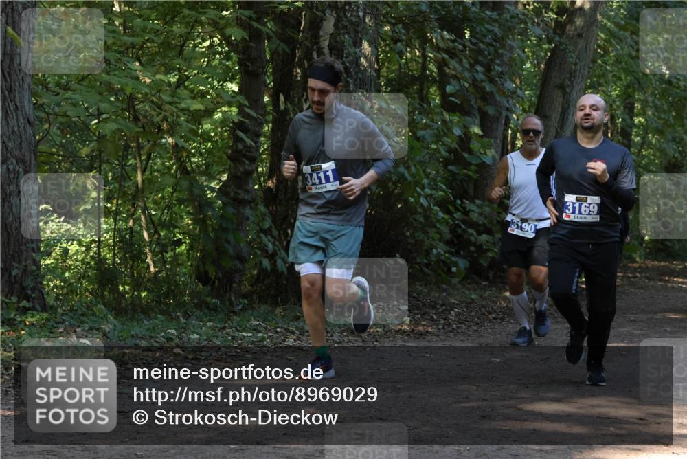 28.09.2025 - 33. Volkslauf durch das schöne Alstertal Strokosch-Dieckow http://msf.ph/oto/8969029 28.09.2025 11:20:29 Laufen 3411, 3190, 3169 meine-sportfotos.de