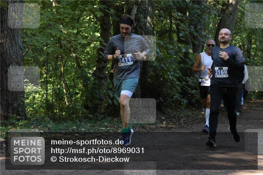 28.09.2025 - 33. Volkslauf durch das schöne Alstertal Strokosch-Dieckow http://msf.ph/oto/8969031 28.09.2025 11:20:29 Laufen 3411, 3190, 3169 meine-sportfotos.de