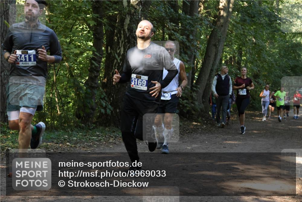 28.09.2025 - 33. Volkslauf durch das schöne Alstertal Strokosch-Dieckow http://msf.ph/oto/8969033 28.09.2025 11:20:30 Laufen 3411, 3169, 90, 3019 meine-sportfotos.de