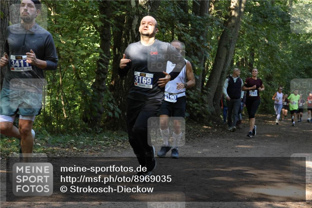28.09.2025 - 33. Volkslauf durch das schöne Alstertal Strokosch-Dieckow http://msf.ph/oto/8969035 28.09.2025 11:20:30 Laufen 3411, 3169, 3190, 3019 meine-sportfotos.de