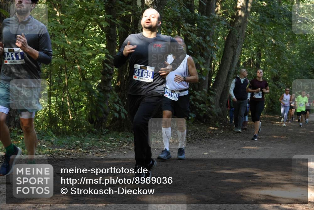 28.09.2025 - 33. Volkslauf durch das schöne Alstertal Strokosch-Dieckow http://msf.ph/oto/8969036 28.09.2025 11:20:30 Laufen 3411, 3169, 3019, 3190 meine-sportfotos.de
