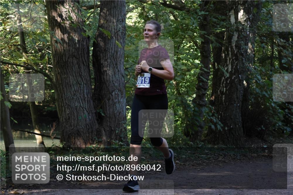 28.09.2025 - 33. Volkslauf durch das schöne Alstertal Strokosch-Dieckow http://msf.ph/oto/8969042 28.09.2025 11:20:34 Laufen 3019 meine-sportfotos.de