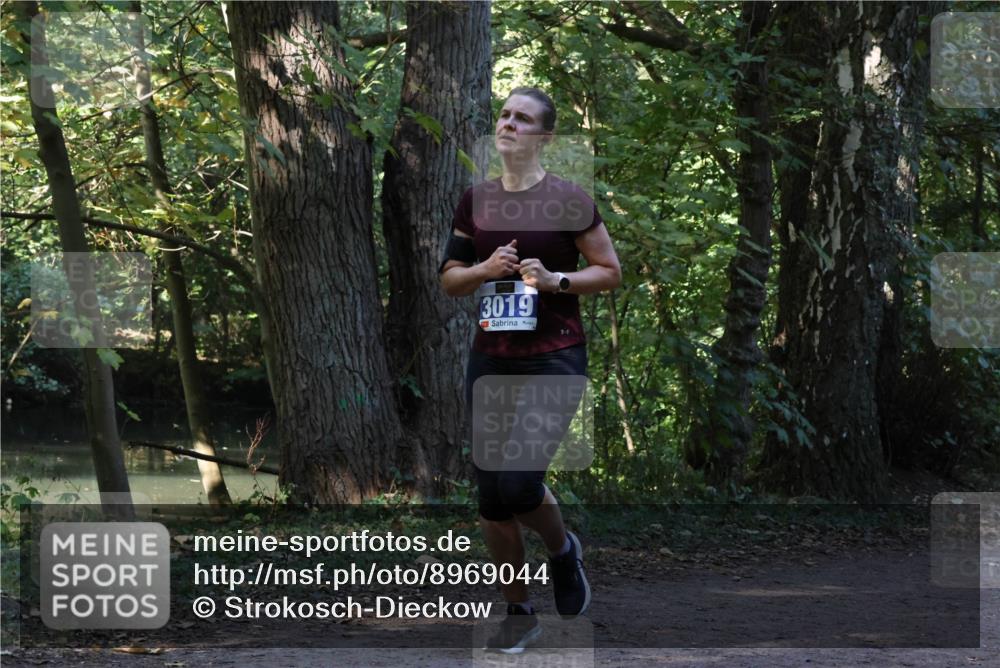 28.09.2025 - 33. Volkslauf durch das schöne Alstertal Strokosch-Dieckow http://msf.ph/oto/8969044 28.09.2025 11:20:34 Laufen 3019 meine-sportfotos.de