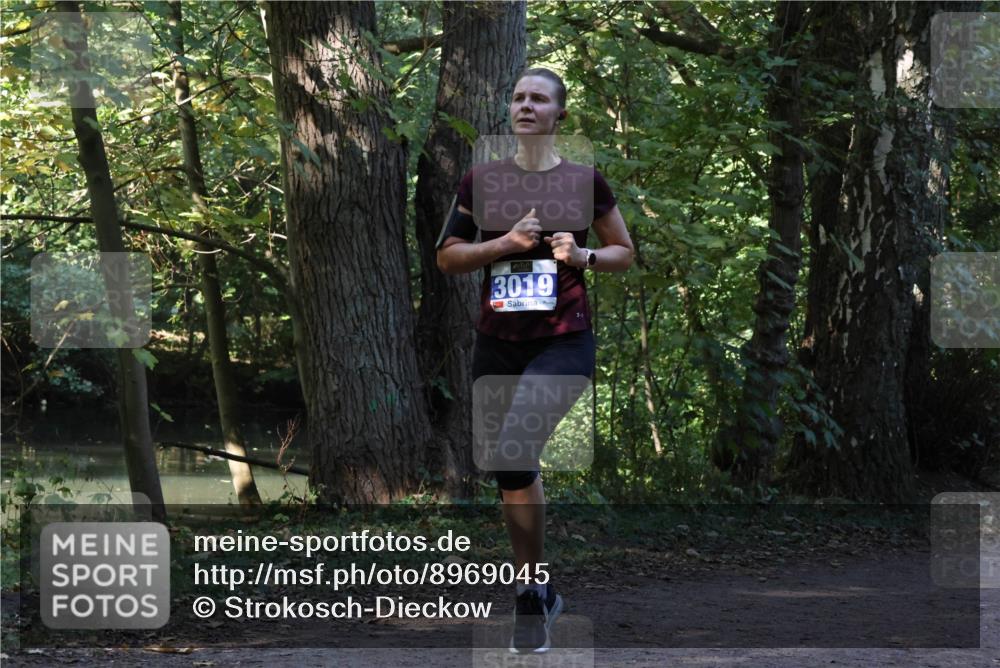 28.09.2025 - 33. Volkslauf durch das schöne Alstertal Strokosch-Dieckow http://msf.ph/oto/8969045 28.09.2025 11:20:34 Laufen 3019 meine-sportfotos.de