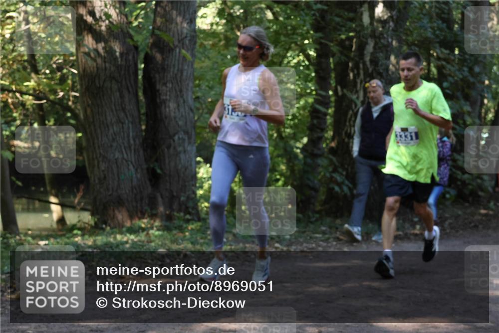 28.09.2025 - 33. Volkslauf durch das schöne Alstertal Strokosch-Dieckow http://msf.ph/oto/8969051 28.09.2025 11:20:39 Laufen  meine-sportfotos.de