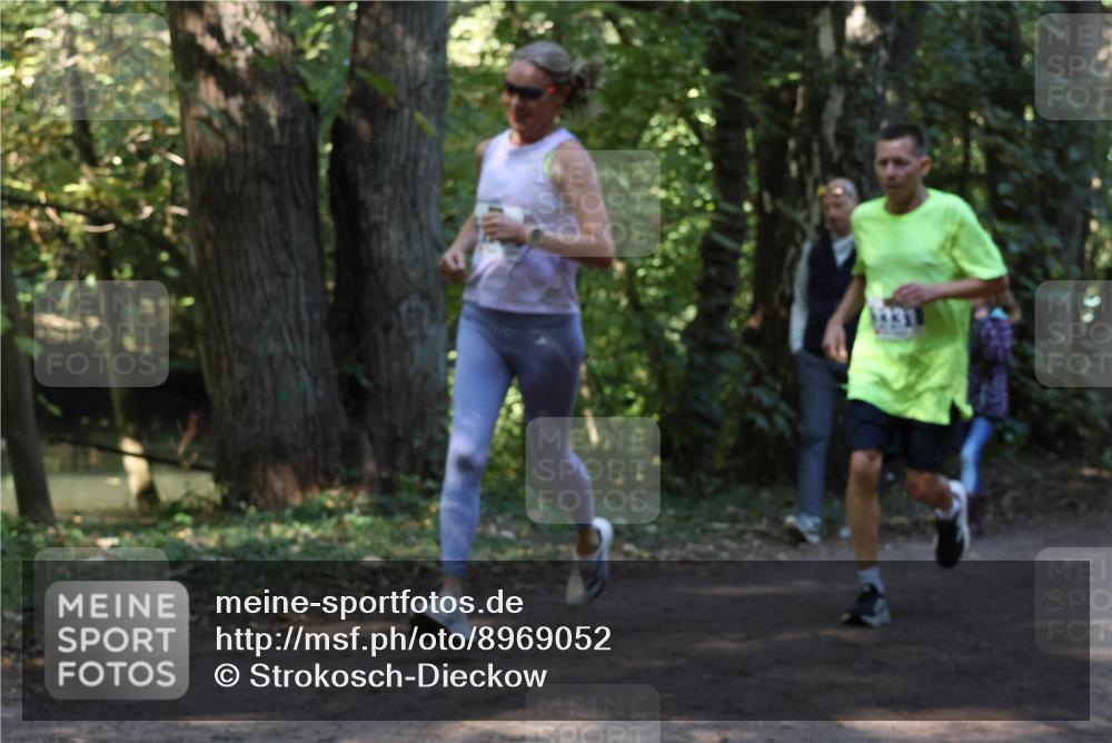 28.09.2025 - 33. Volkslauf durch das schöne Alstertal Strokosch-Dieckow http://msf.ph/oto/8969052 28.09.2025 11:20:39 Laufen  meine-sportfotos.de