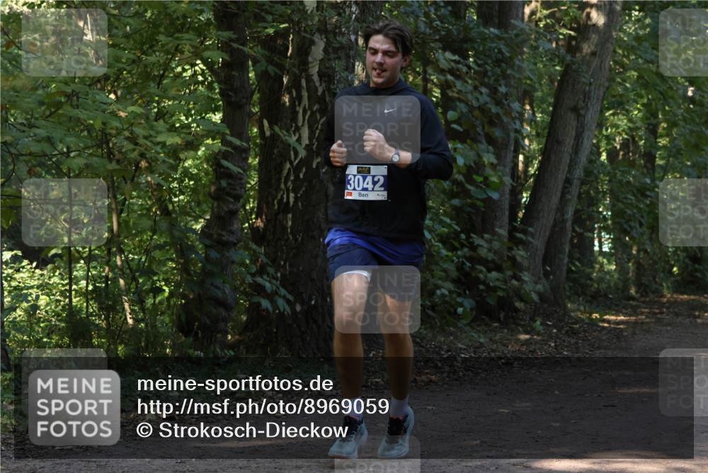 28.09.2025 - 33. Volkslauf durch das schöne Alstertal Strokosch-Dieckow http://msf.ph/oto/8969059 28.09.2025 11:20:47 Laufen 3042 meine-sportfotos.de