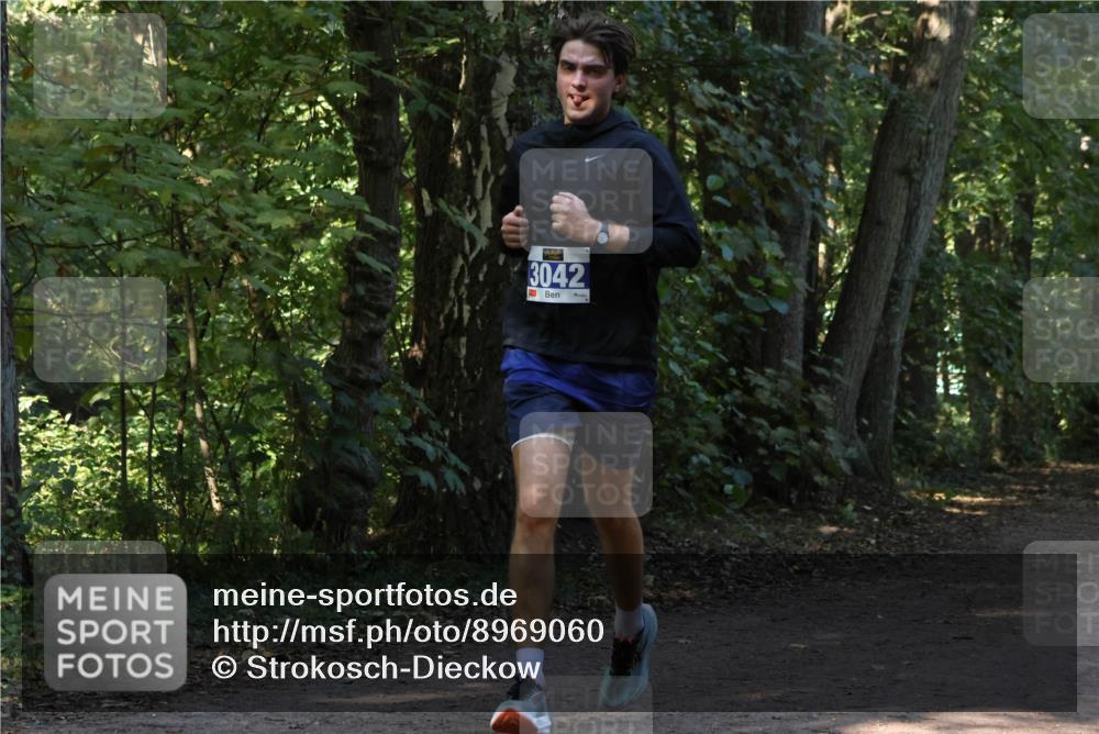 28.09.2025 - 33. Volkslauf durch das schöne Alstertal Strokosch-Dieckow http://msf.ph/oto/8969060 28.09.2025 11:20:47 Laufen 3042 meine-sportfotos.de