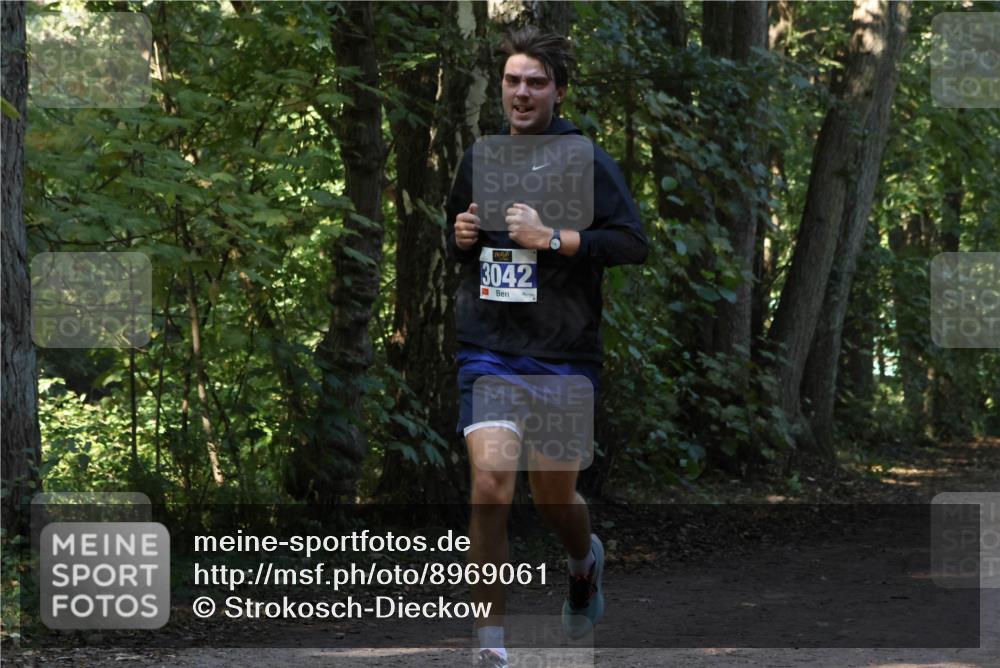 28.09.2025 - 33. Volkslauf durch das schöne Alstertal Strokosch-Dieckow http://msf.ph/oto/8969061 28.09.2025 11:20:47 Laufen 3042, 5 meine-sportfotos.de