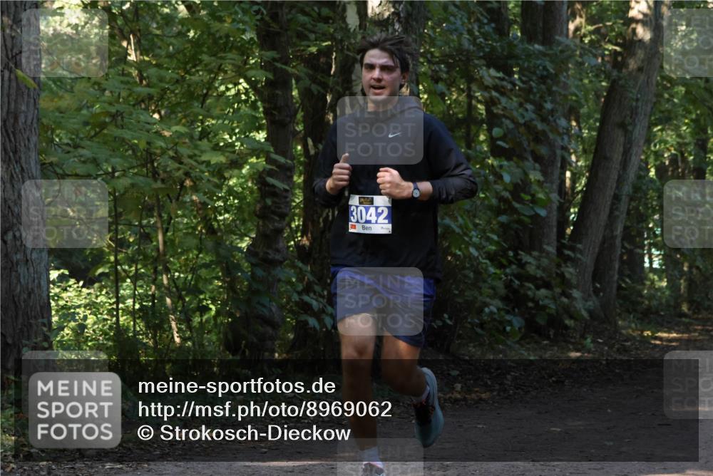 28.09.2025 - 33. Volkslauf durch das schöne Alstertal Strokosch-Dieckow http://msf.ph/oto/8969062 28.09.2025 11:20:47 Laufen 3042 meine-sportfotos.de
