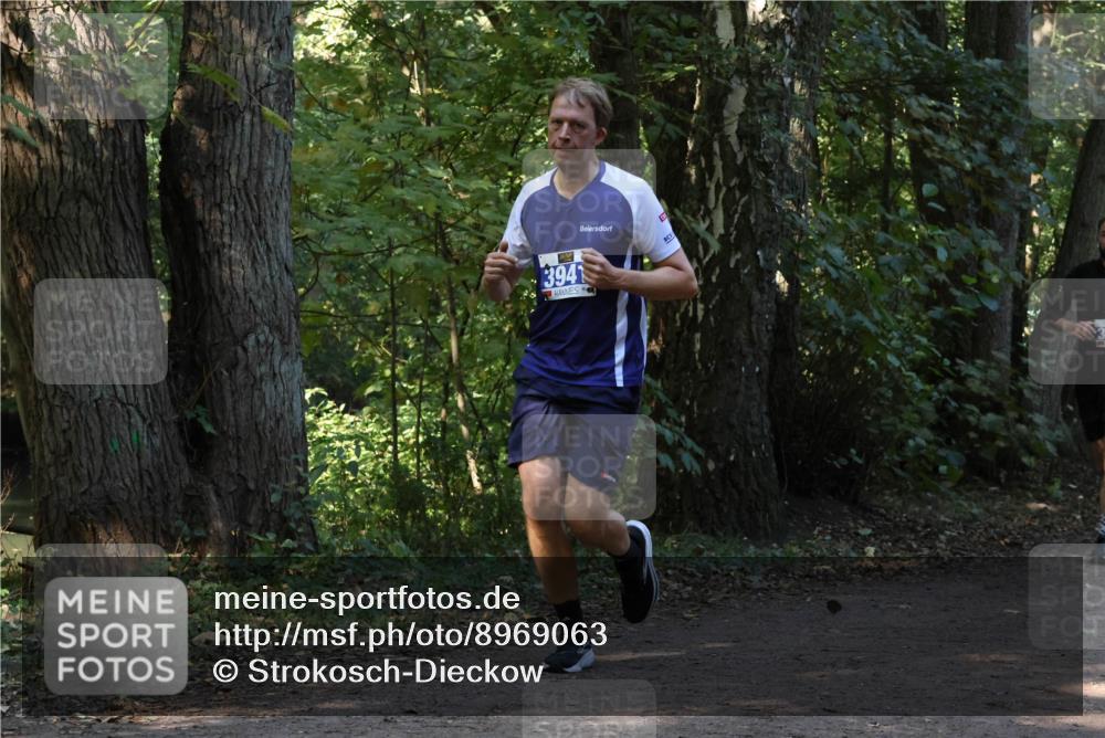 28.09.2025 - 33. Volkslauf durch das schöne Alstertal Strokosch-Dieckow http://msf.ph/oto/8969063 28.09.2025 11:20:57 Laufen 3941 meine-sportfotos.de