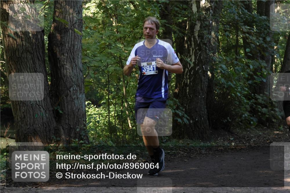 28.09.2025 - 33. Volkslauf durch das schöne Alstertal Strokosch-Dieckow http://msf.ph/oto/8969064 28.09.2025 11:20:57 Laufen 3941 meine-sportfotos.de