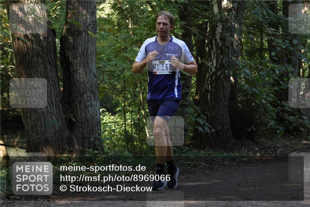 28.09.2025 - 33. Volkslauf durch das schöne Alstertal Strokosch-Dieckow http://msf.ph/oto/8969066 28.09.2025 11:20:57 Laufen 3941 meine-sportfotos.de