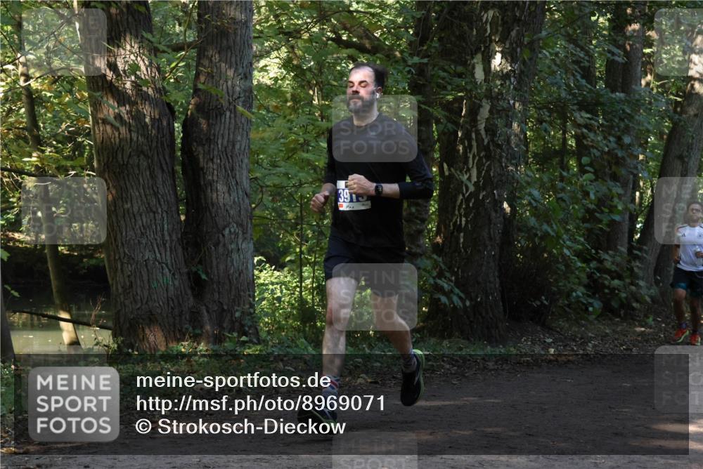 28.09.2025 - 33. Volkslauf durch das schöne Alstertal Strokosch-Dieckow http://msf.ph/oto/8969071 28.09.2025 11:20:59 Laufen  meine-sportfotos.de