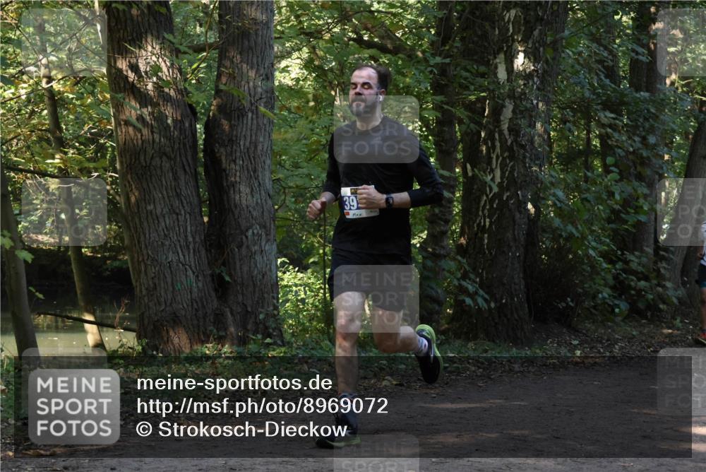 28.09.2025 - 33. Volkslauf durch das schöne Alstertal Strokosch-Dieckow http://msf.ph/oto/8969072 28.09.2025 11:20:59 Laufen 39 meine-sportfotos.de