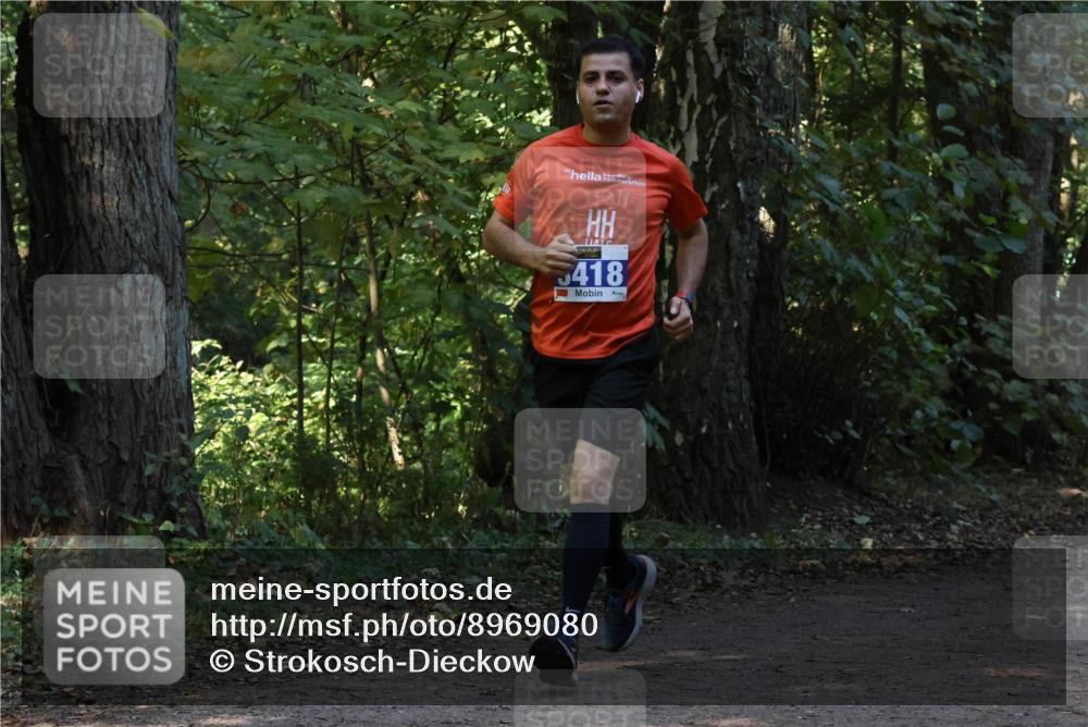 28.09.2025 - 33. Volkslauf durch das schöne Alstertal Strokosch-Dieckow http://msf.ph/oto/8969080 28.09.2025 11:21:06 Laufen 418 meine-sportfotos.de