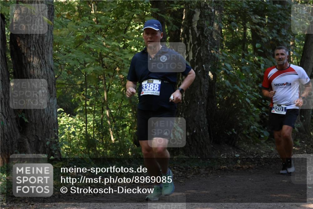 28.09.2025 - 33. Volkslauf durch das schöne Alstertal Strokosch-Dieckow http://msf.ph/oto/8969085 28.09.2025 11:21:17 Laufen 3388, 3201 meine-sportfotos.de