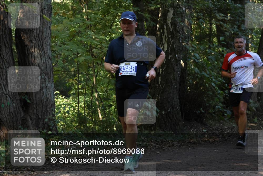 28.09.2025 - 33. Volkslauf durch das schöne Alstertal Strokosch-Dieckow http://msf.ph/oto/8969086 28.09.2025 11:21:17 Laufen 3388, 3201 meine-sportfotos.de