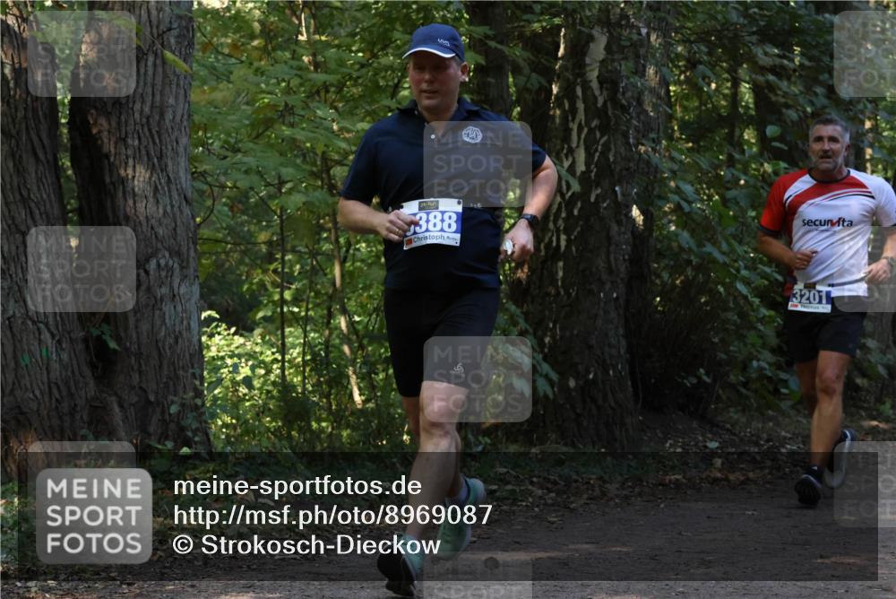 28.09.2025 - 33. Volkslauf durch das schöne Alstertal Strokosch-Dieckow http://msf.ph/oto/8969087 28.09.2025 11:21:17 Laufen 388, 3201 meine-sportfotos.de