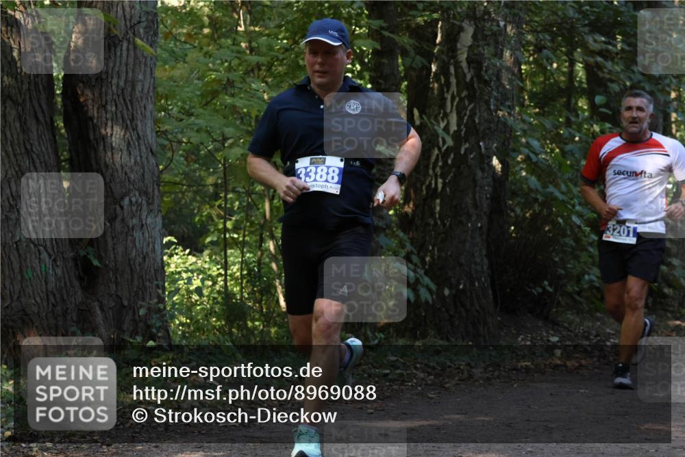 28.09.2025 - 33. Volkslauf durch das schöne Alstertal Strokosch-Dieckow http://msf.ph/oto/8969088 28.09.2025 11:21:17 Laufen 3388, 3201 meine-sportfotos.de