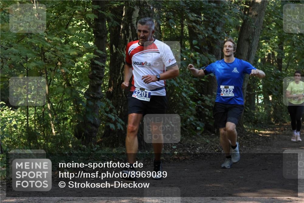 28.09.2025 - 33. Volkslauf durch das schöne Alstertal Strokosch-Dieckow http://msf.ph/oto/8969089 28.09.2025 11:21:18 Laufen 3201, 3232 meine-sportfotos.de