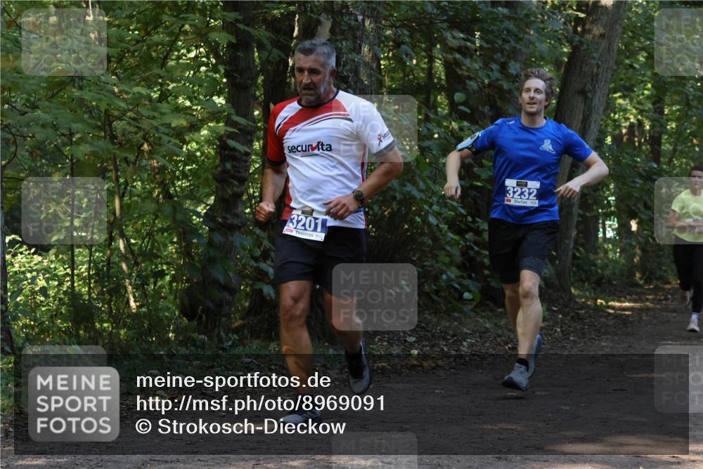 28.09.2025 - 33. Volkslauf durch das schöne Alstertal Strokosch-Dieckow http://msf.ph/oto/8969091 28.09.2025 11:21:18 Laufen 3201, 3232 meine-sportfotos.de
