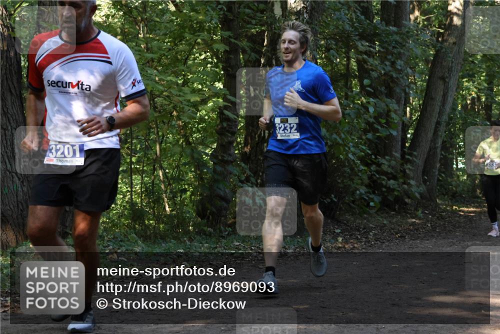 28.09.2025 - 33. Volkslauf durch das schöne Alstertal Strokosch-Dieckow http://msf.ph/oto/8969093 28.09.2025 11:21:20 Laufen 3201, 3232 meine-sportfotos.de