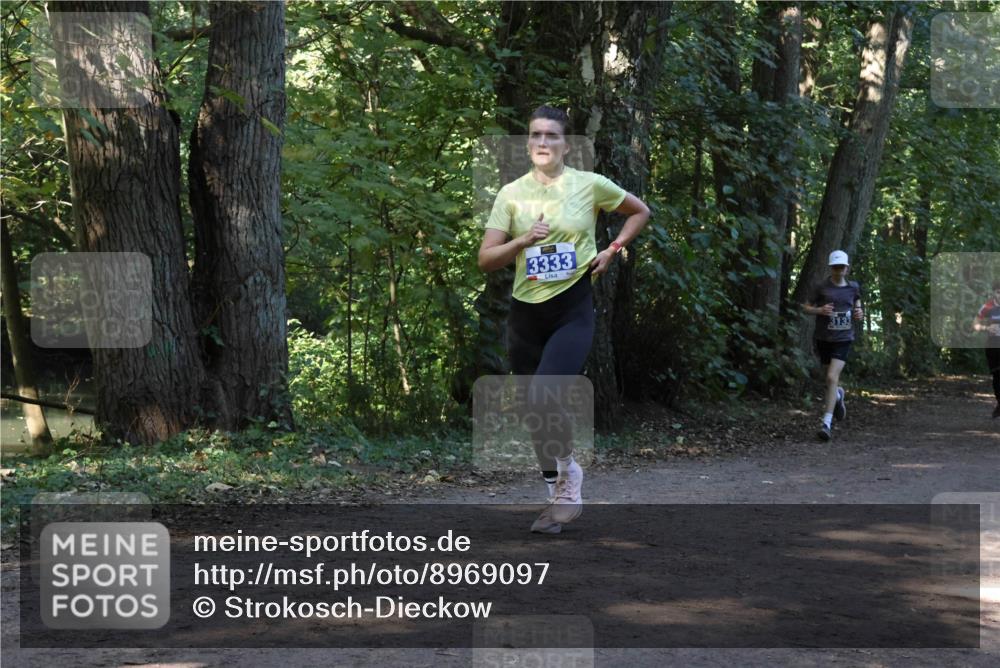 28.09.2025 - 33. Volkslauf durch das schöne Alstertal Strokosch-Dieckow http://msf.ph/oto/8969097 28.09.2025 11:21:23 Laufen 3333 meine-sportfotos.de