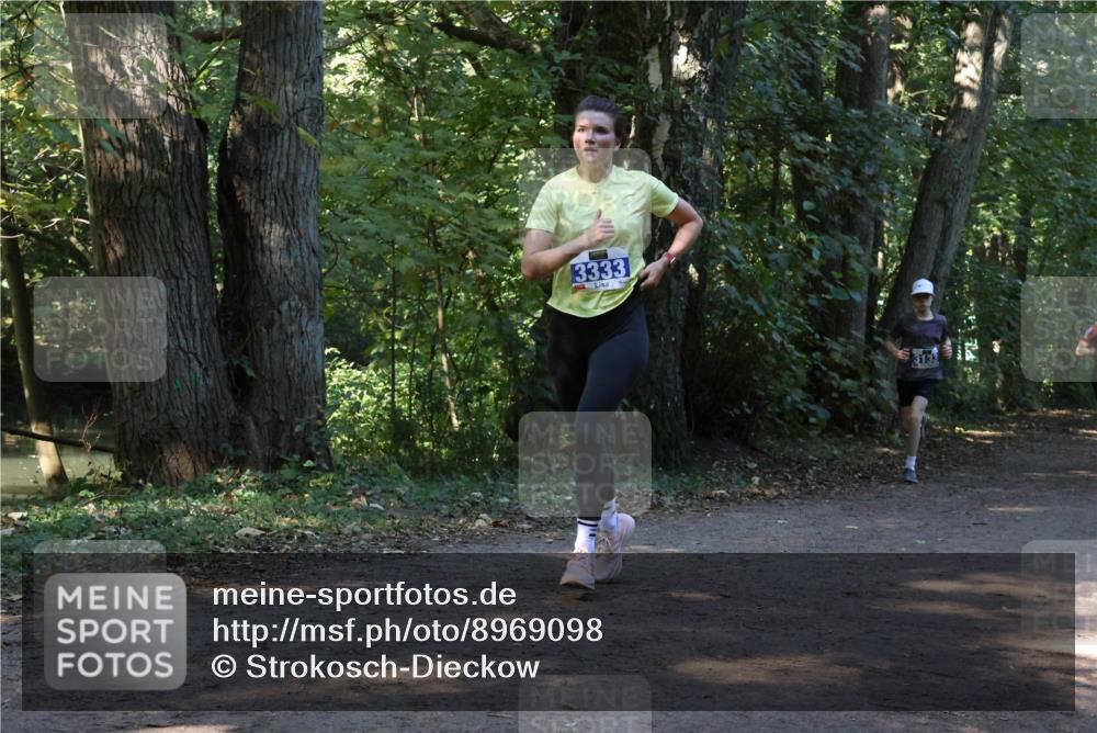 28.09.2025 - 33. Volkslauf durch das schöne Alstertal Strokosch-Dieckow http://msf.ph/oto/8969098 28.09.2025 11:21:23 Laufen 3333 meine-sportfotos.de