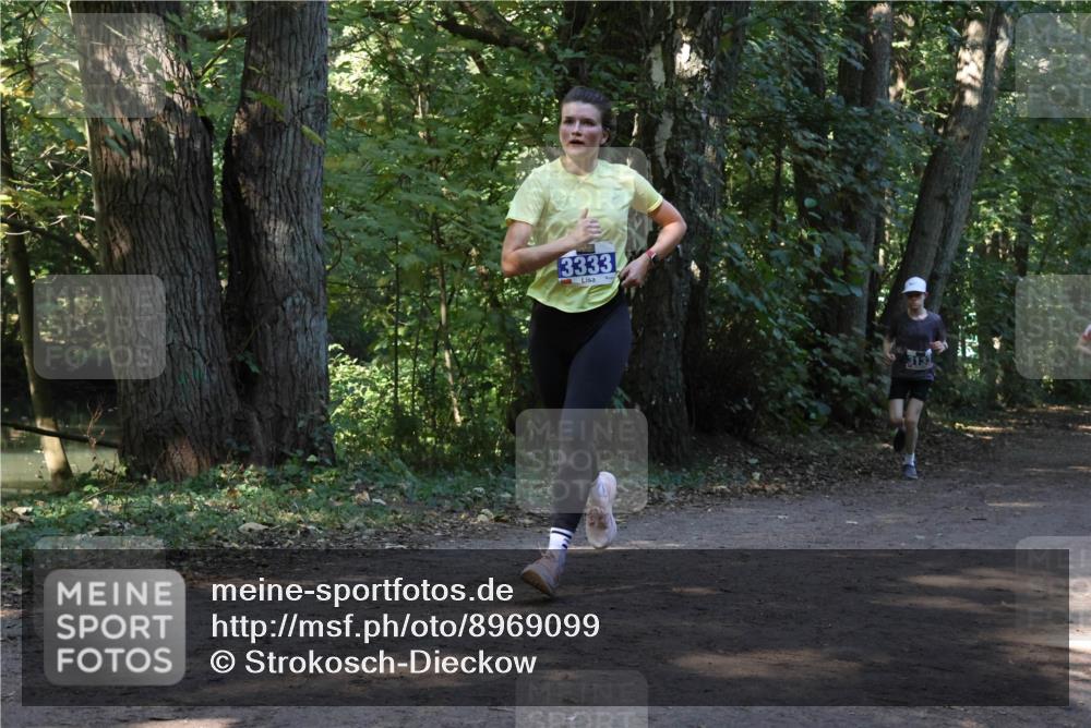 28.09.2025 - 33. Volkslauf durch das schöne Alstertal Strokosch-Dieckow http://msf.ph/oto/8969099 28.09.2025 11:21:23 Laufen 3333, 3133 meine-sportfotos.de