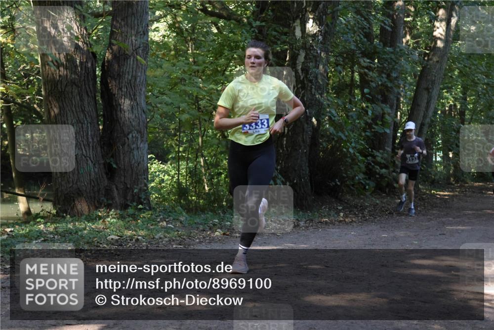 28.09.2025 - 33. Volkslauf durch das schöne Alstertal Strokosch-Dieckow http://msf.ph/oto/8969100 28.09.2025 11:21:23 Laufen 5333, 3133 meine-sportfotos.de