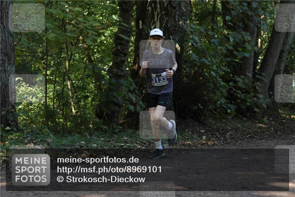 28.09.2025 - 33. Volkslauf durch das schöne Alstertal Strokosch-Dieckow http://msf.ph/oto/8969101 28.09.2025 11:21:25 Laufen 3133 meine-sportfotos.de