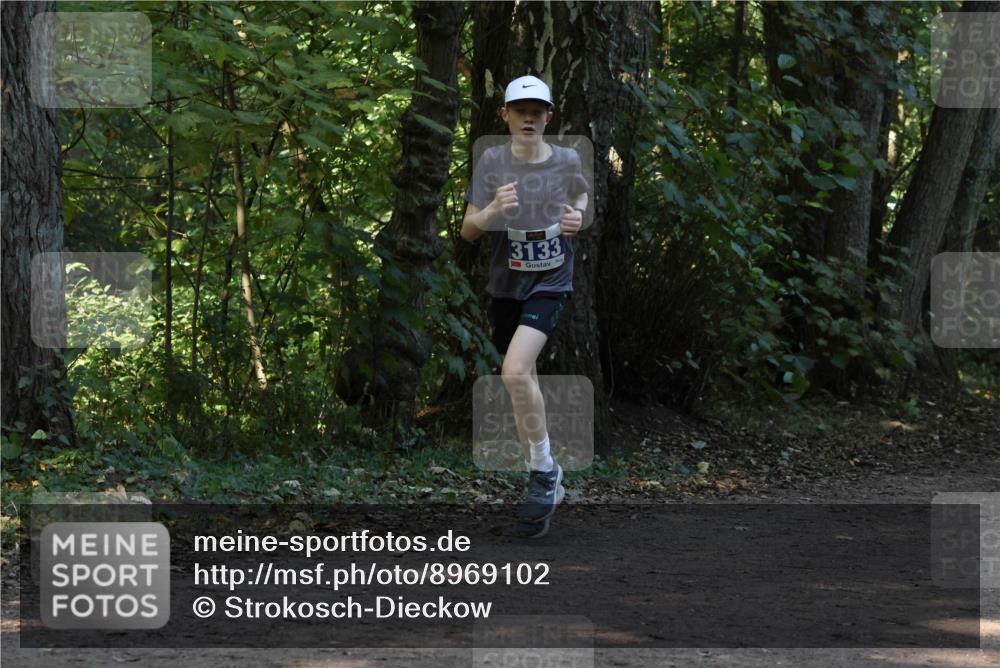 28.09.2025 - 33. Volkslauf durch das schöne Alstertal Strokosch-Dieckow http://msf.ph/oto/8969102 28.09.2025 11:21:25 Laufen 3133 meine-sportfotos.de