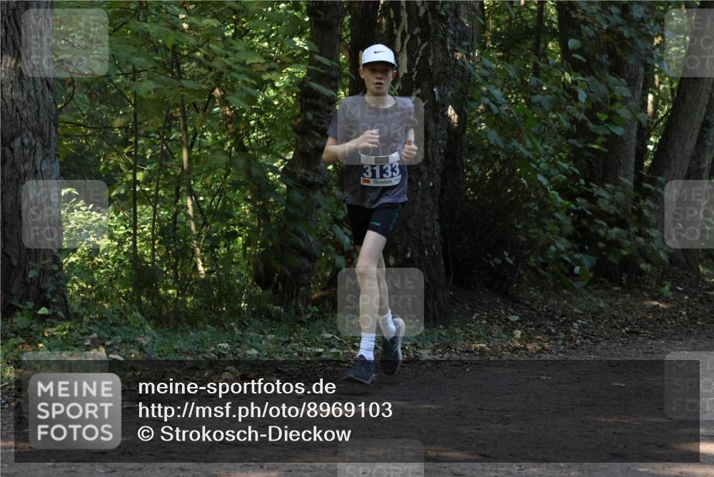 28.09.2025 - 33. Volkslauf durch das schöne Alstertal Strokosch-Dieckow http://msf.ph/oto/8969103 28.09.2025 11:21:25 Laufen 3133 meine-sportfotos.de