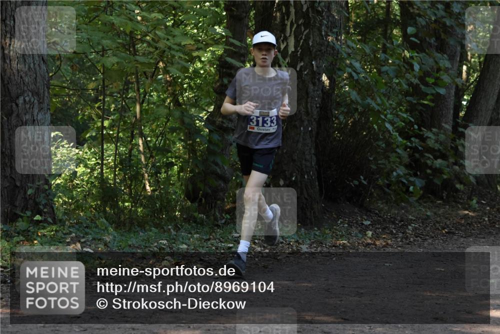 28.09.2025 - 33. Volkslauf durch das schöne Alstertal Strokosch-Dieckow http://msf.ph/oto/8969104 28.09.2025 11:21:25 Laufen 3133 meine-sportfotos.de