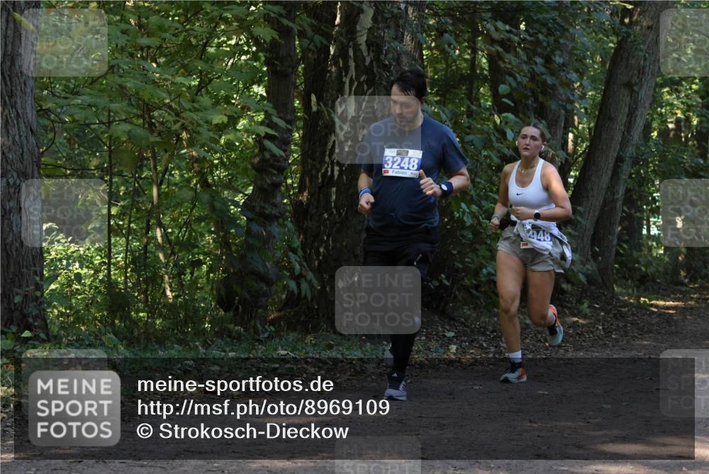 28.09.2025 - 33. Volkslauf durch das schöne Alstertal Strokosch-Dieckow http://msf.ph/oto/8969109 28.09.2025 11:21:32 Laufen 3248, 948 meine-sportfotos.de