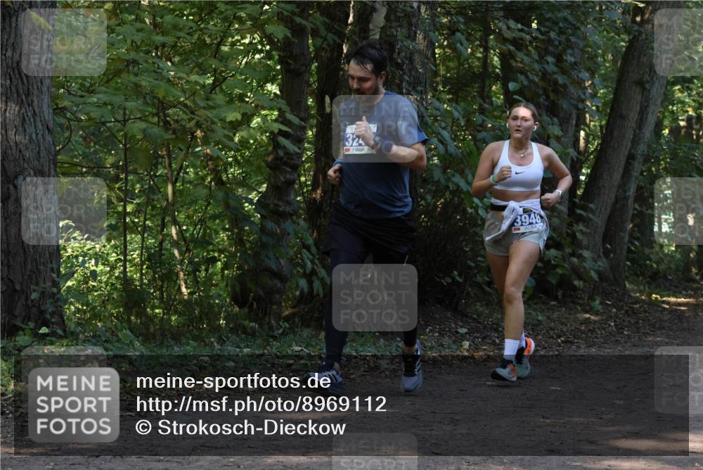 28.09.2025 - 33. Volkslauf durch das schöne Alstertal Strokosch-Dieckow http://msf.ph/oto/8969112 28.09.2025 11:21:32 Laufen 32, 3948 meine-sportfotos.de