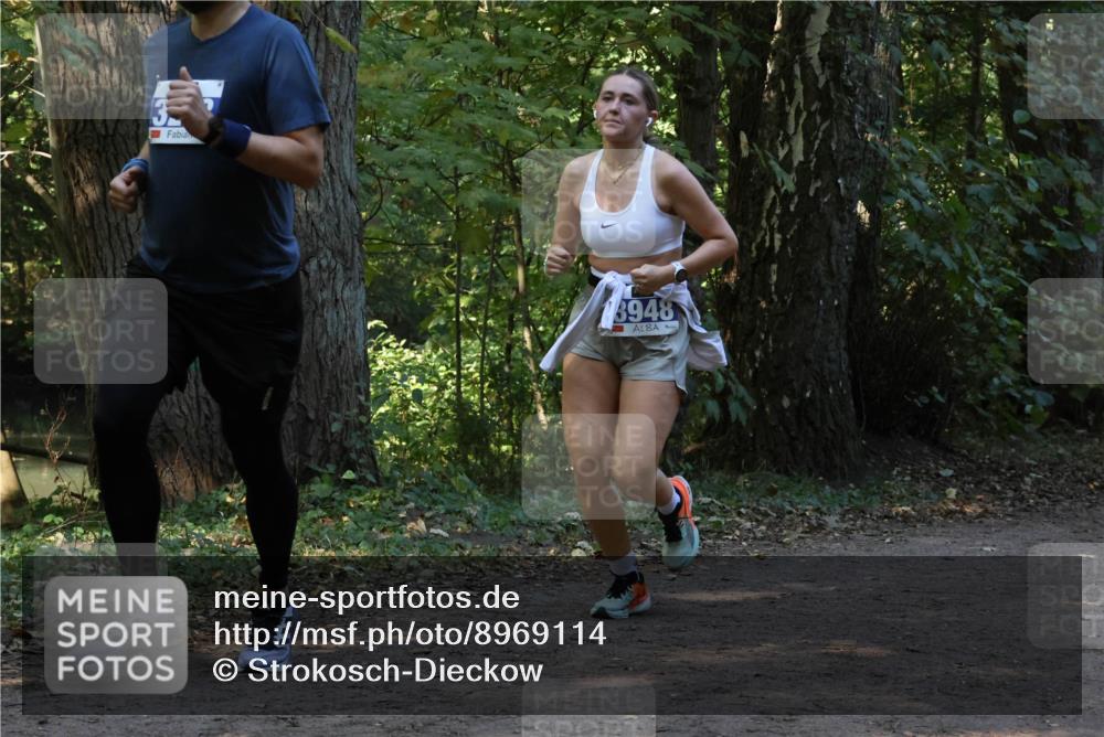 28.09.2025 - 33. Volkslauf durch das schöne Alstertal Strokosch-Dieckow http://msf.ph/oto/8969114 28.09.2025 11:21:33 Laufen 3948 meine-sportfotos.de