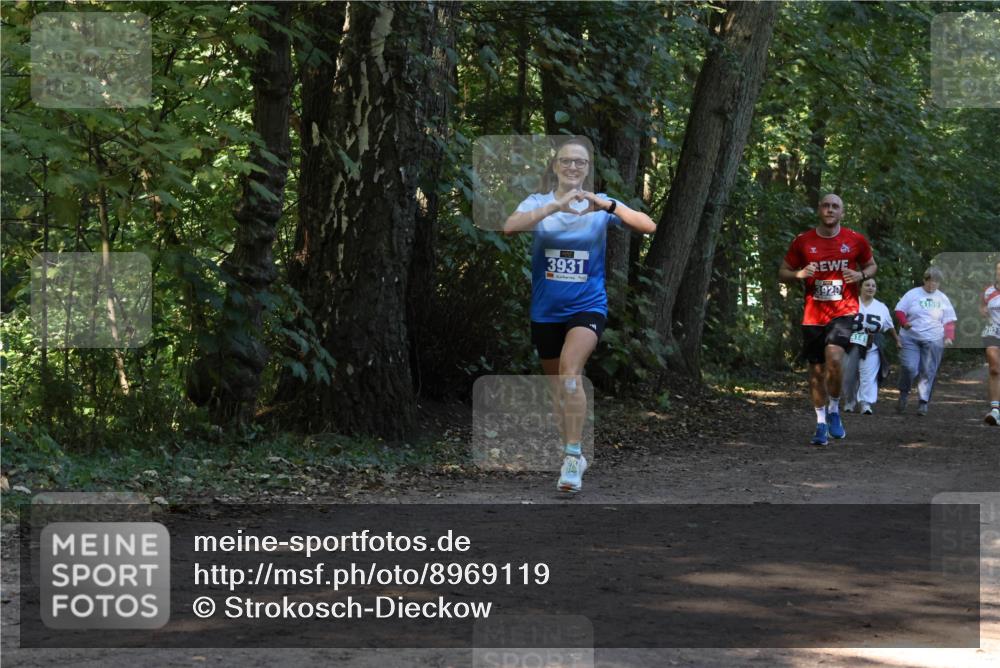 28.09.2025 - 33. Volkslauf durch das schöne Alstertal Strokosch-Dieckow http://msf.ph/oto/8969119 28.09.2025 11:21:37 Laufen 3931, 8929, 85, 4141, 4159, 202 meine-sportfotos.de