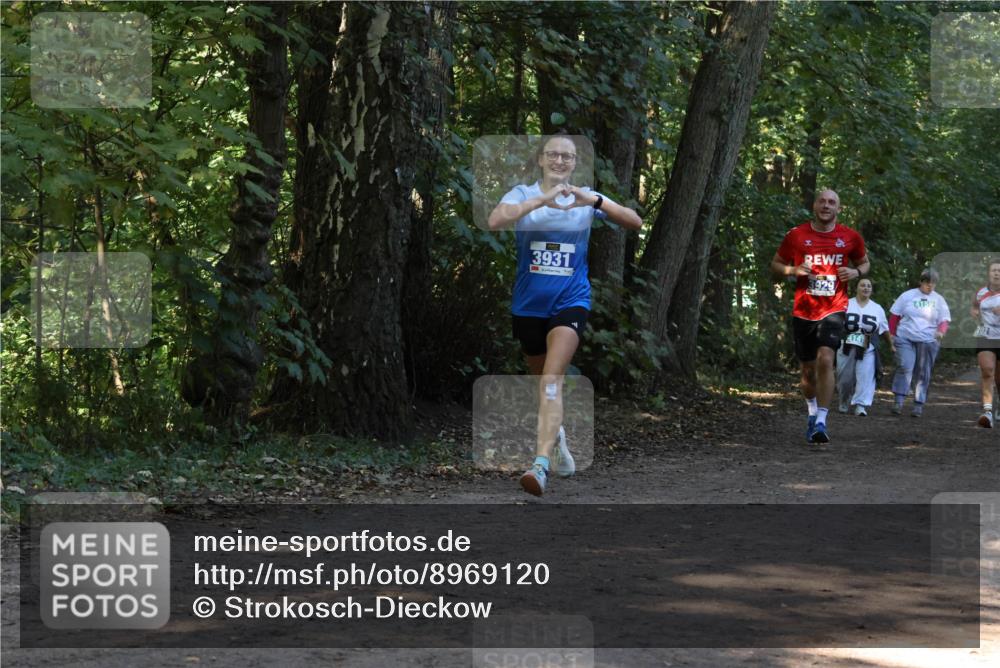 28.09.2025 - 33. Volkslauf durch das schöne Alstertal Strokosch-Dieckow http://msf.ph/oto/8969120 28.09.2025 11:21:38 Laufen 3931, 6, 8929, 85, 4141 meine-sportfotos.de