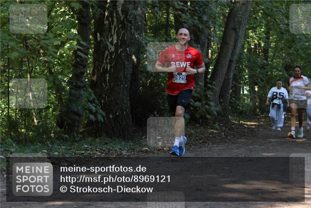 28.09.2025 - 33. Volkslauf durch das schöne Alstertal Strokosch-Dieckow http://msf.ph/oto/8969121 28.09.2025 11:21:40 Laufen 3929, 8520, 4141 meine-sportfotos.de