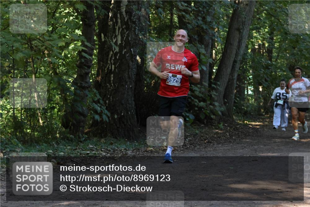 28.09.2025 - 33. Volkslauf durch das schöne Alstertal Strokosch-Dieckow http://msf.ph/oto/8969123 28.09.2025 11:21:40 Laufen 3929, 85, 414, 202 meine-sportfotos.de