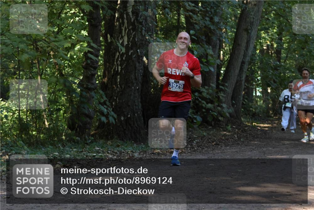 28.09.2025 - 33. Volkslauf durch das schöne Alstertal Strokosch-Dieckow http://msf.ph/oto/8969124 28.09.2025 11:21:40 Laufen 3929, 414 meine-sportfotos.de
