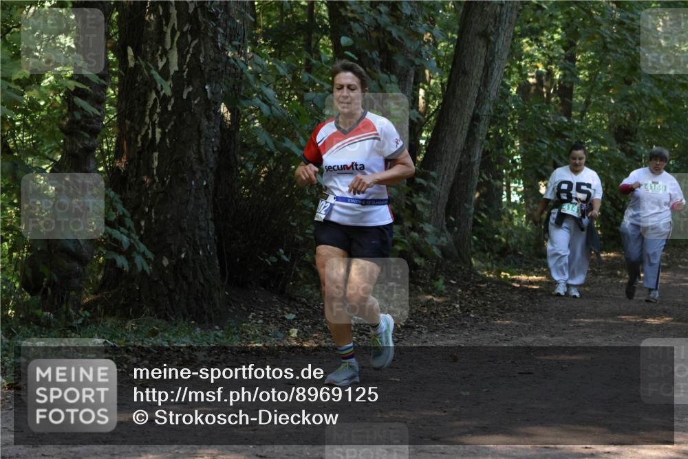 28.09.2025 - 33. Volkslauf durch das schöne Alstertal Strokosch-Dieckow http://msf.ph/oto/8969125 28.09.2025 11:21:43 Laufen 85, 414, 4159 meine-sportfotos.de