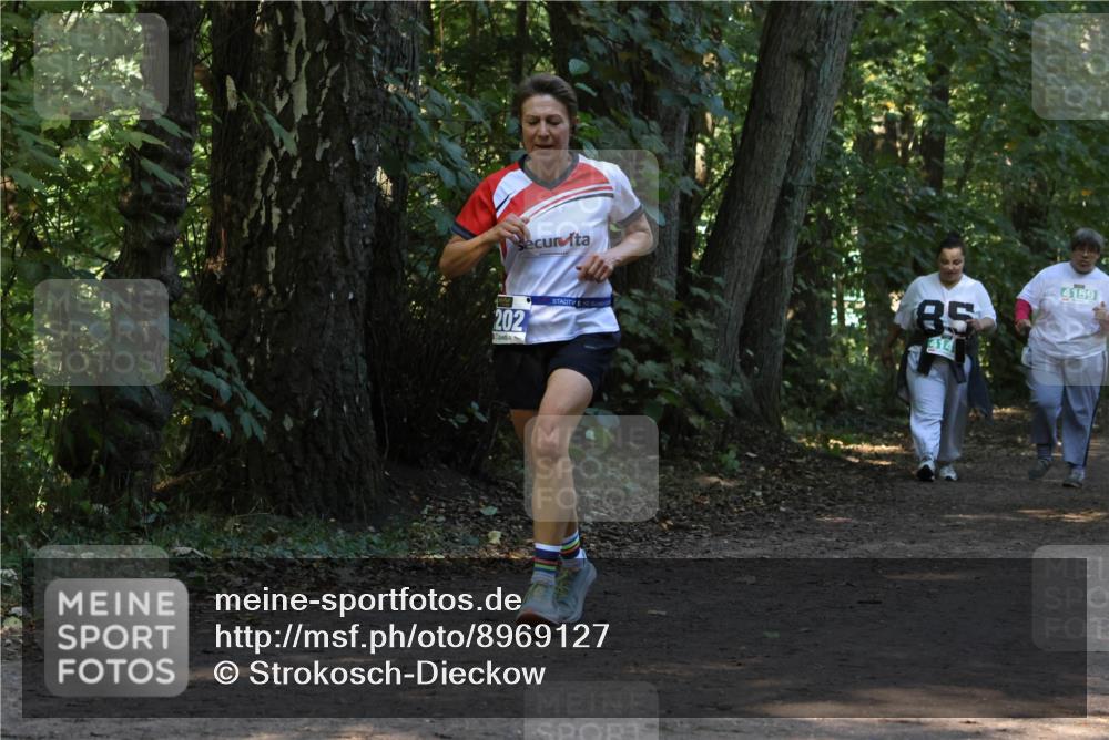 28.09.2025 - 33. Volkslauf durch das schöne Alstertal Strokosch-Dieckow http://msf.ph/oto/8969127 28.09.2025 11:21:43 Laufen 202, 85, 4159 meine-sportfotos.de